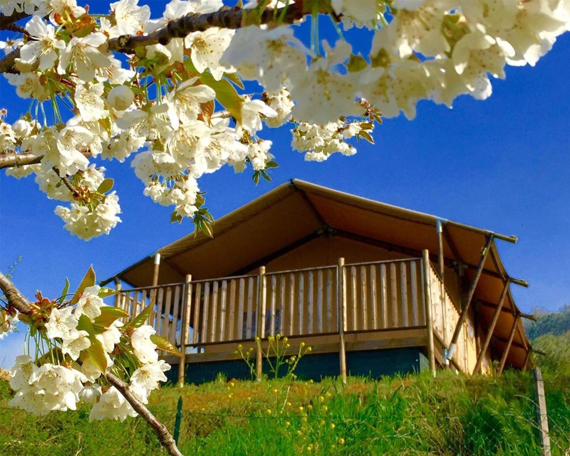 Villaladiva Boutique Glamping Massignano Ngoại thất bức ảnh