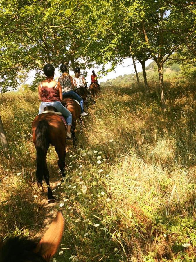 Villaladiva Boutique Glamping Massignano Ngoại thất bức ảnh